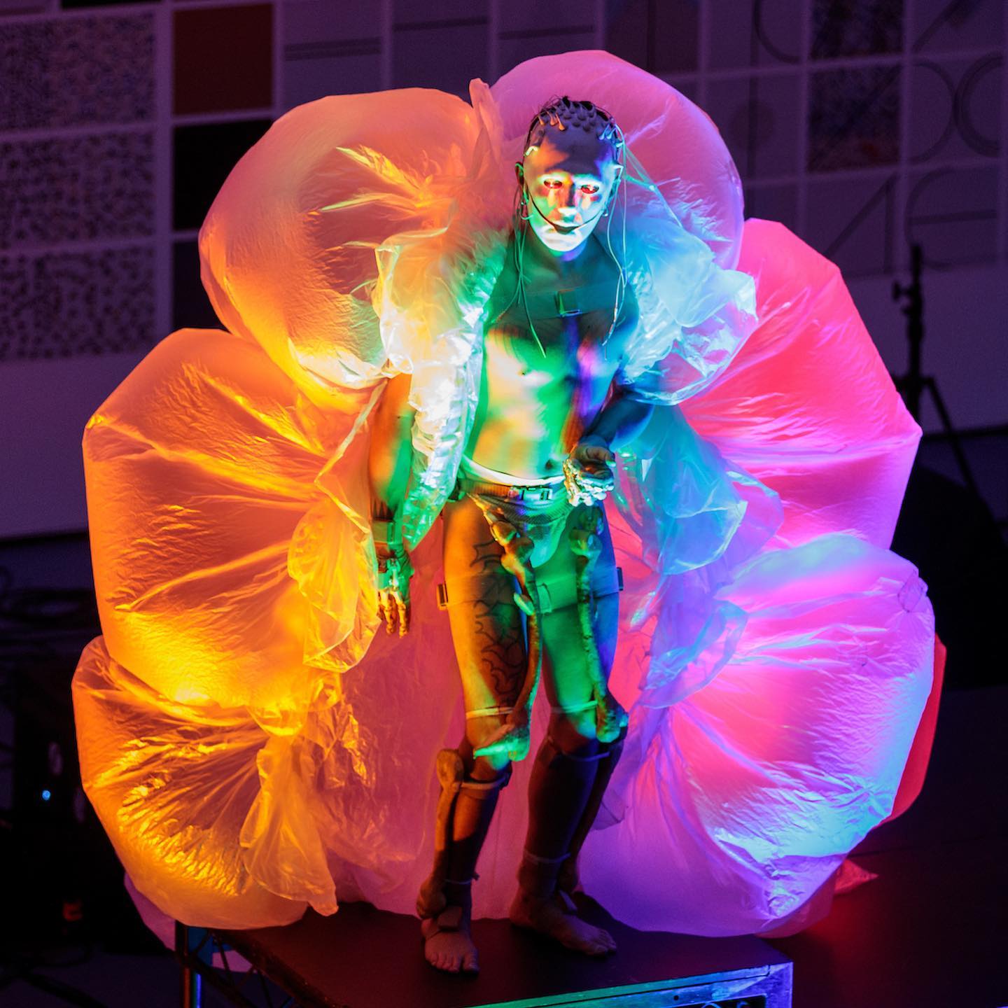 Rolfes at MOMA performance